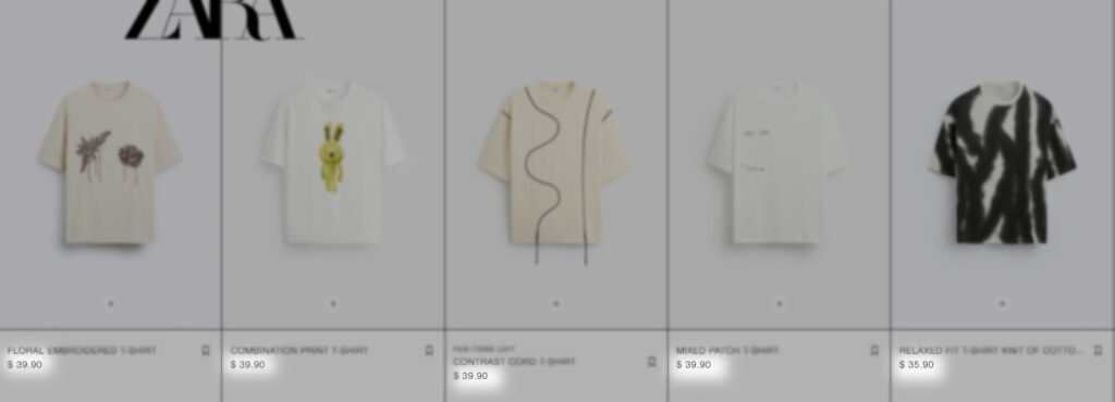 T-Shirt Cost at Zara